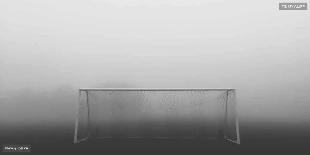 为什么选择我们